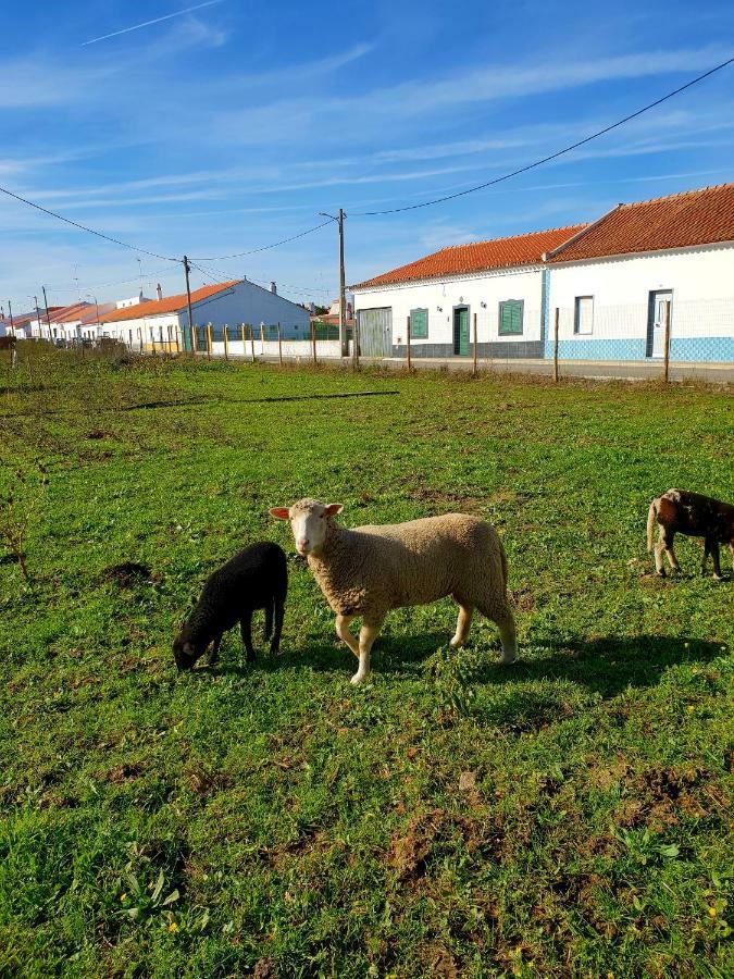 Willa Casa Do Avo To Reguengos de Monsaraz Zewnętrze zdjęcie